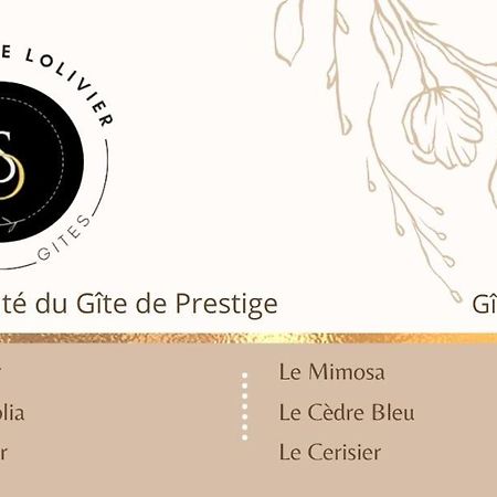 La Salamandre De L Olivier - Le Palmier Aubignosc Esterno foto